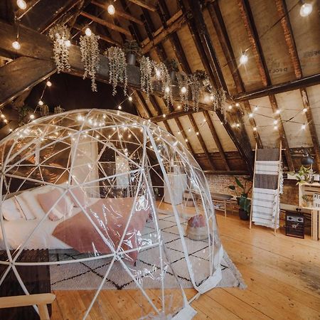 Cocoon Brussels Leilighet Eksteriør bilde